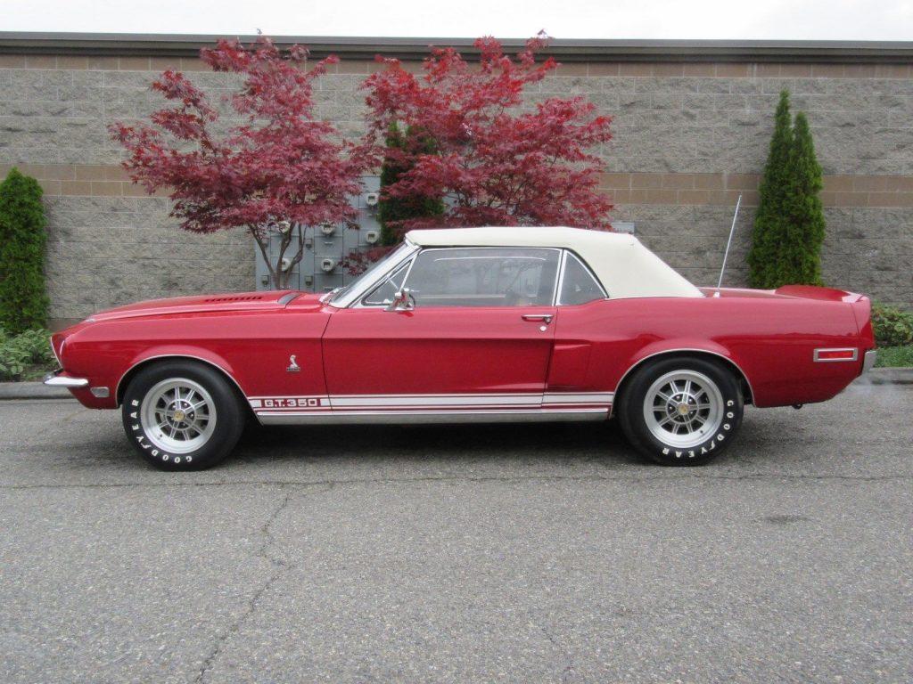 1968 Ford Mustang Shelby Cobra GT 350 Convertible Concours (1 of 404)