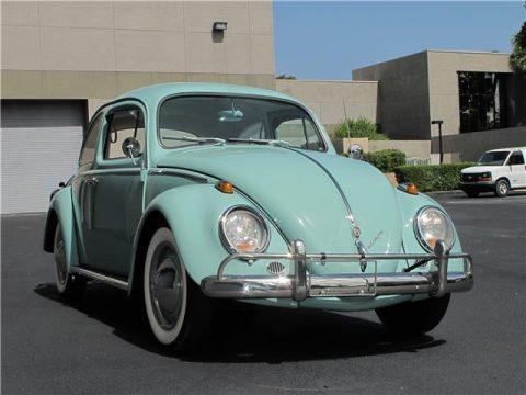 BEAUTIFUL 1963 Volkswagen Beetle for sale